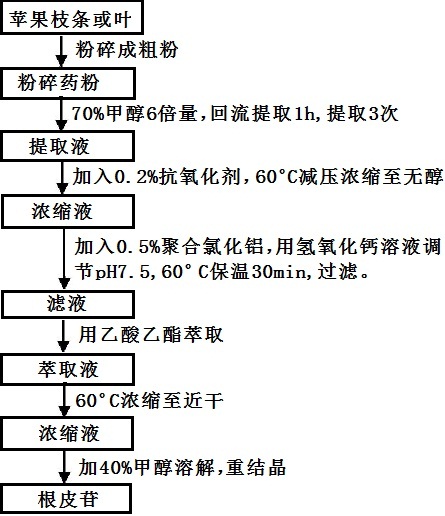 根皮苷提取的工藝流程